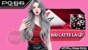 Bài Catte Là Gì