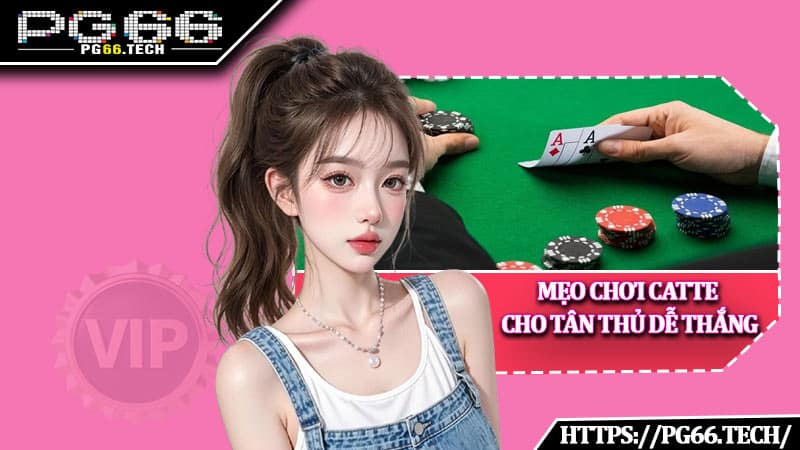 Mẹo chơi Catte cho tân thủ dễ thắng