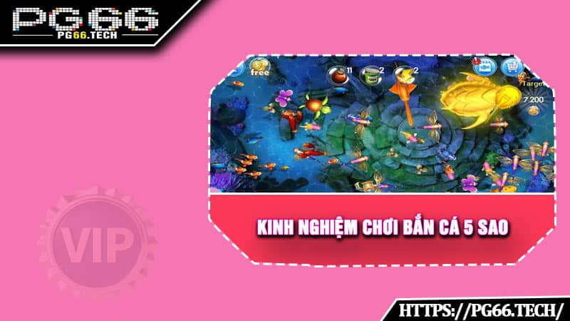 Kinh nghiệm chơi bắn cá 5 sao rinh quà khủng về tay