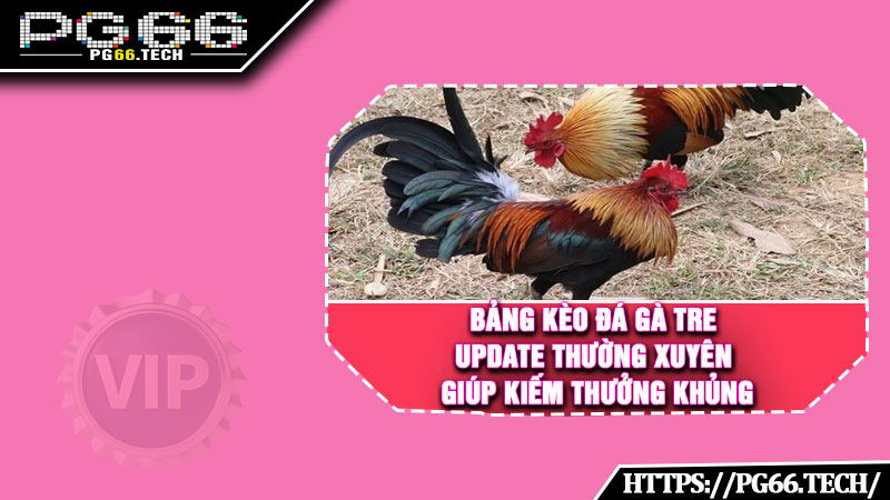 Bảng kèo đá gà tre update thường xuyên giúp kiếm thưởng khủng