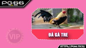 Đá Gà Tre