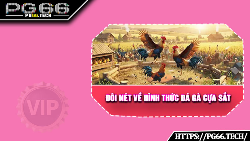 Đôi nét về hình thức đá gà cựa sắt